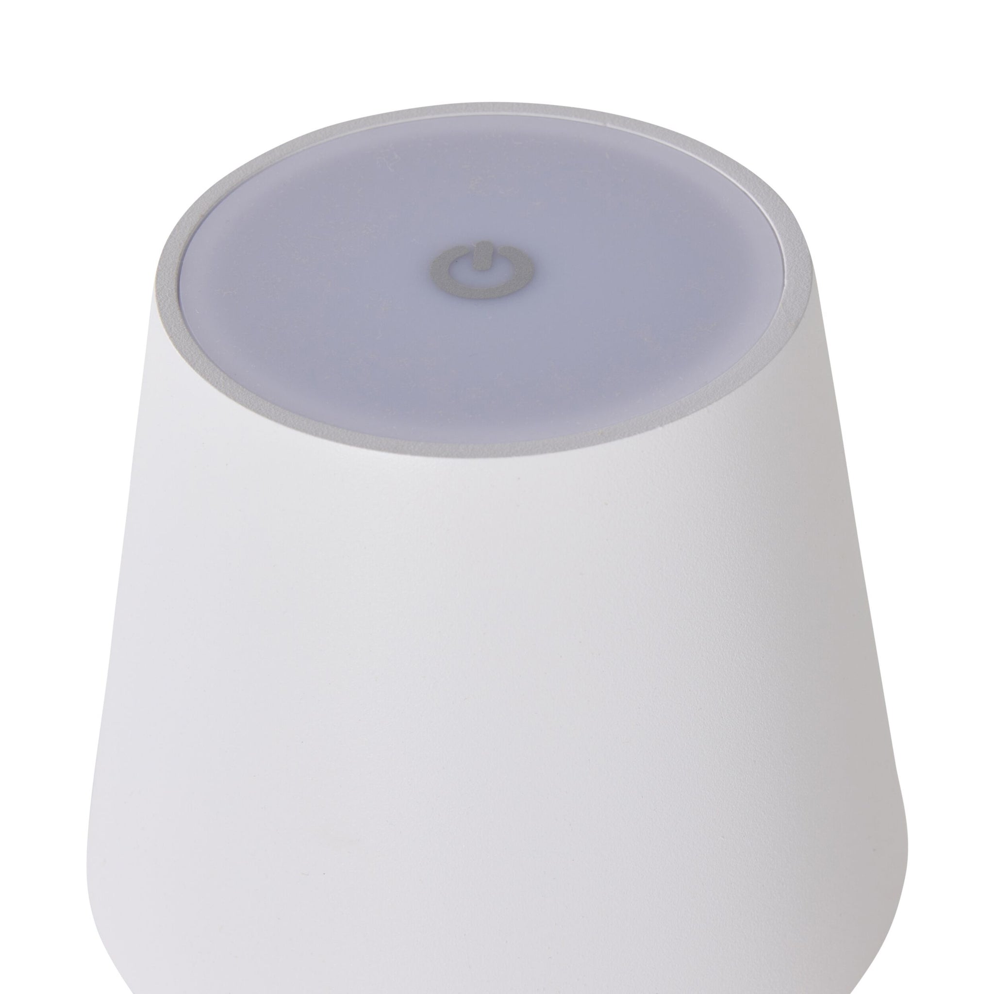 Alexa Palm Leaf Portable Lamp with LED 29cm