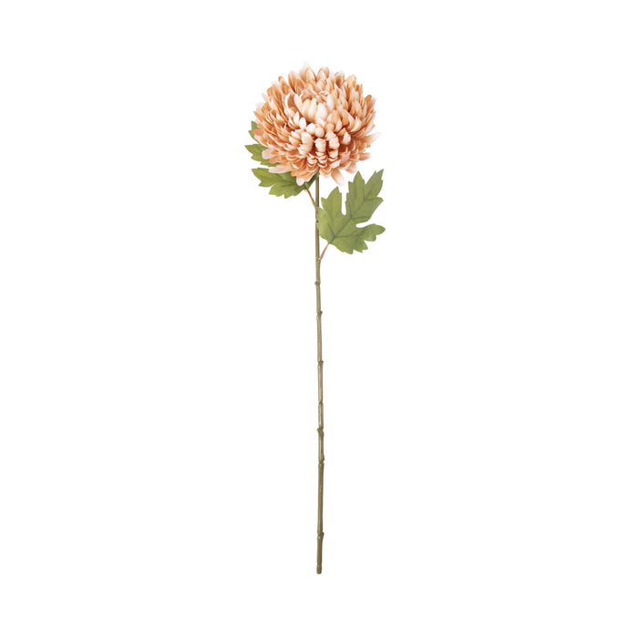 Bloomery Chrysanthemum Stem Peach 61cm