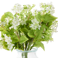 Floriana White Lilac Vase