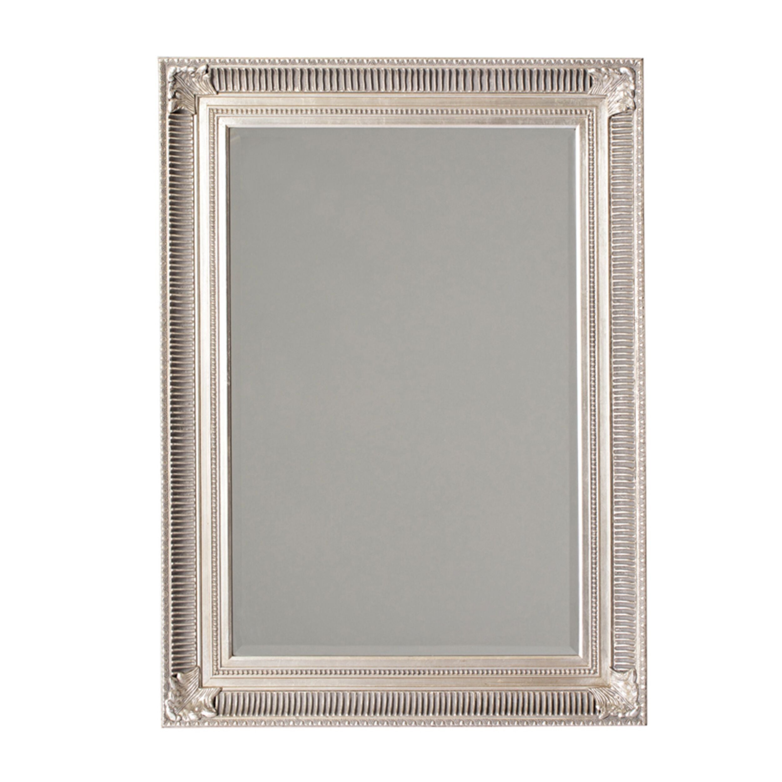 Bjorn Ribbed Mirror Silver 122x91cm