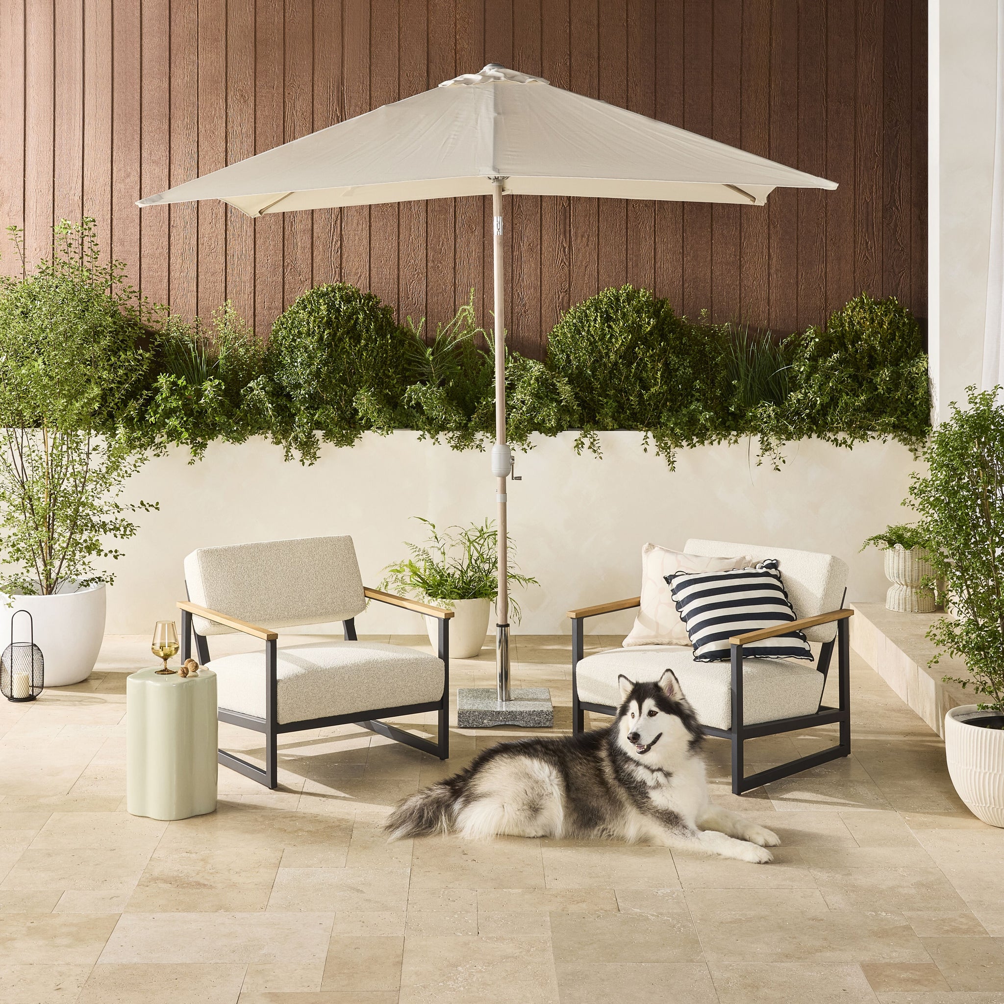 lifestyle_insitu: