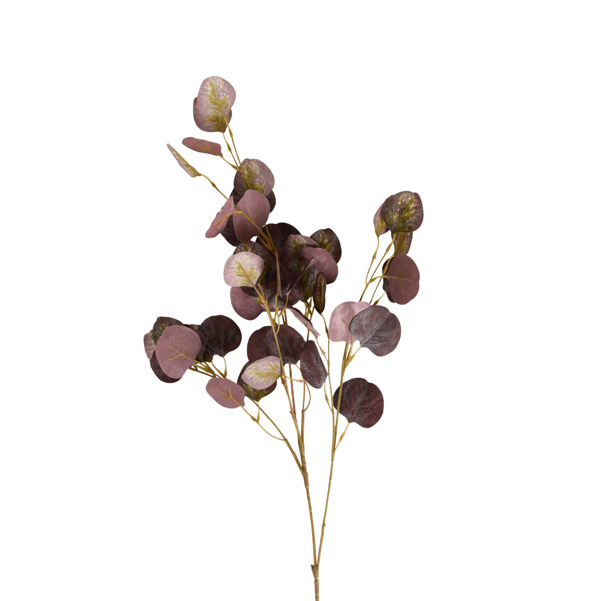 Bloomery Plum Eucalyptus Stem 102cm