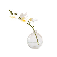 Floriana White Orchid Cutting Vase