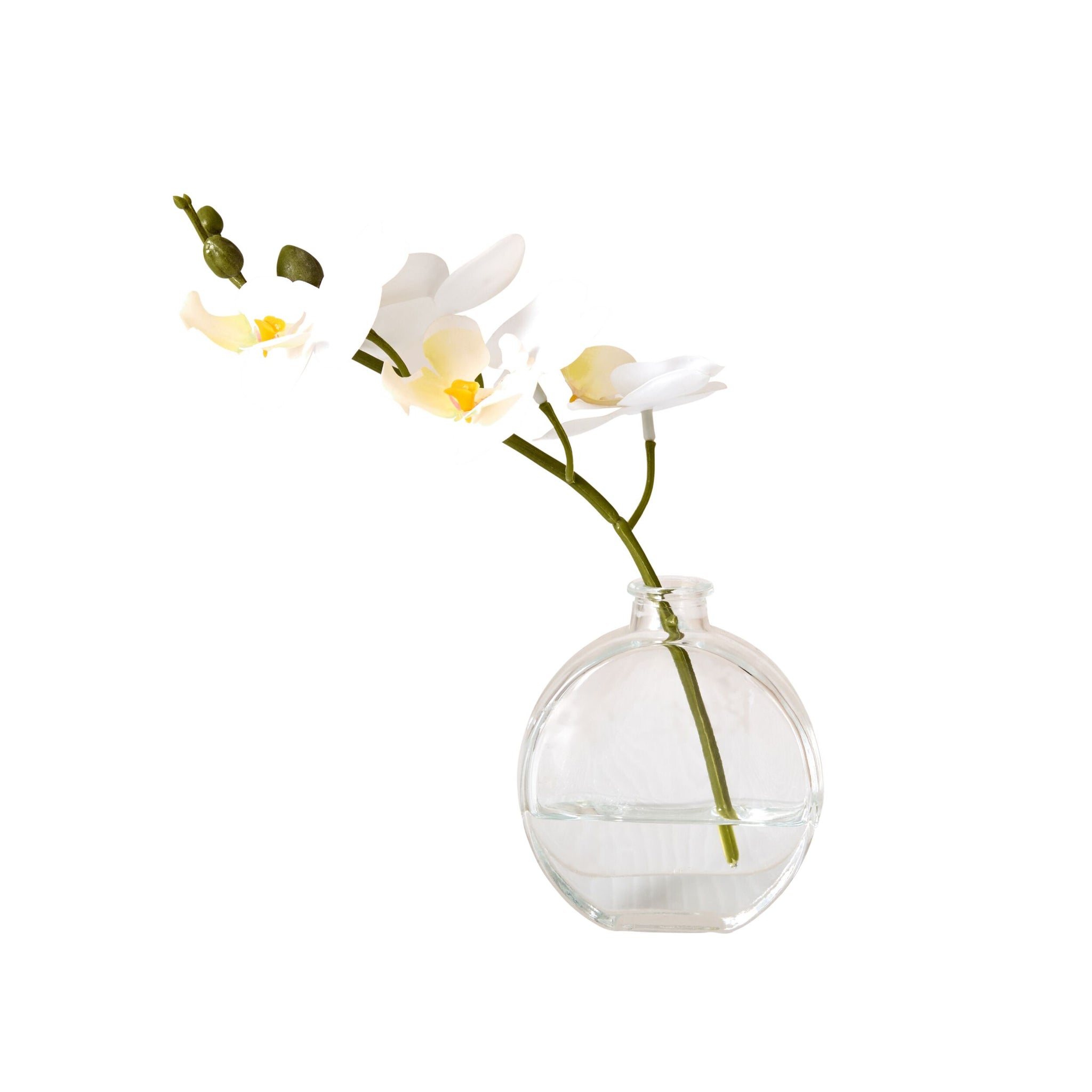 Floriana White Orchid Cutting Vase