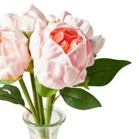 Floriana Peony Pale Pink x5 Vase 33cm