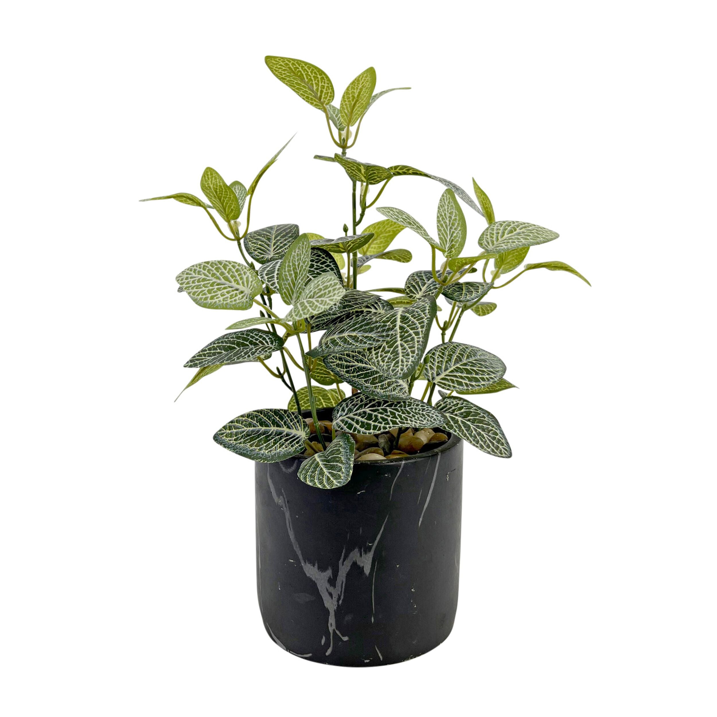 De Fleurs Black Potted Faux Leafy Plant 30cm