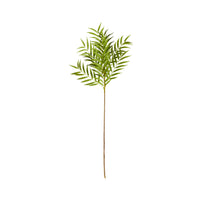 Bloomery Fern Palm Stem 99cm