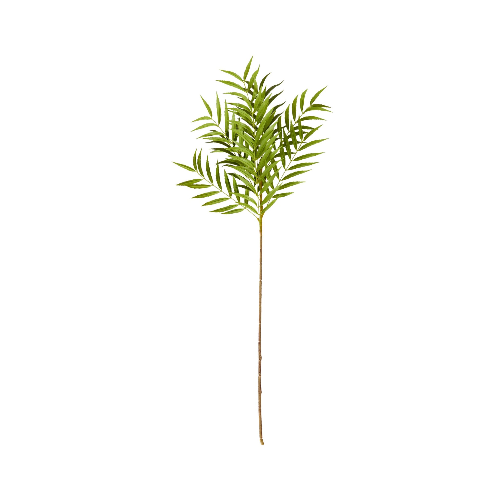 Bloomery Fern Palm Stem 99cm