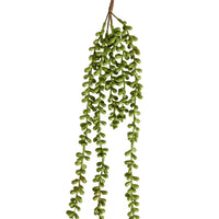 Bloomery Cascading Succulent Stem 71cm
