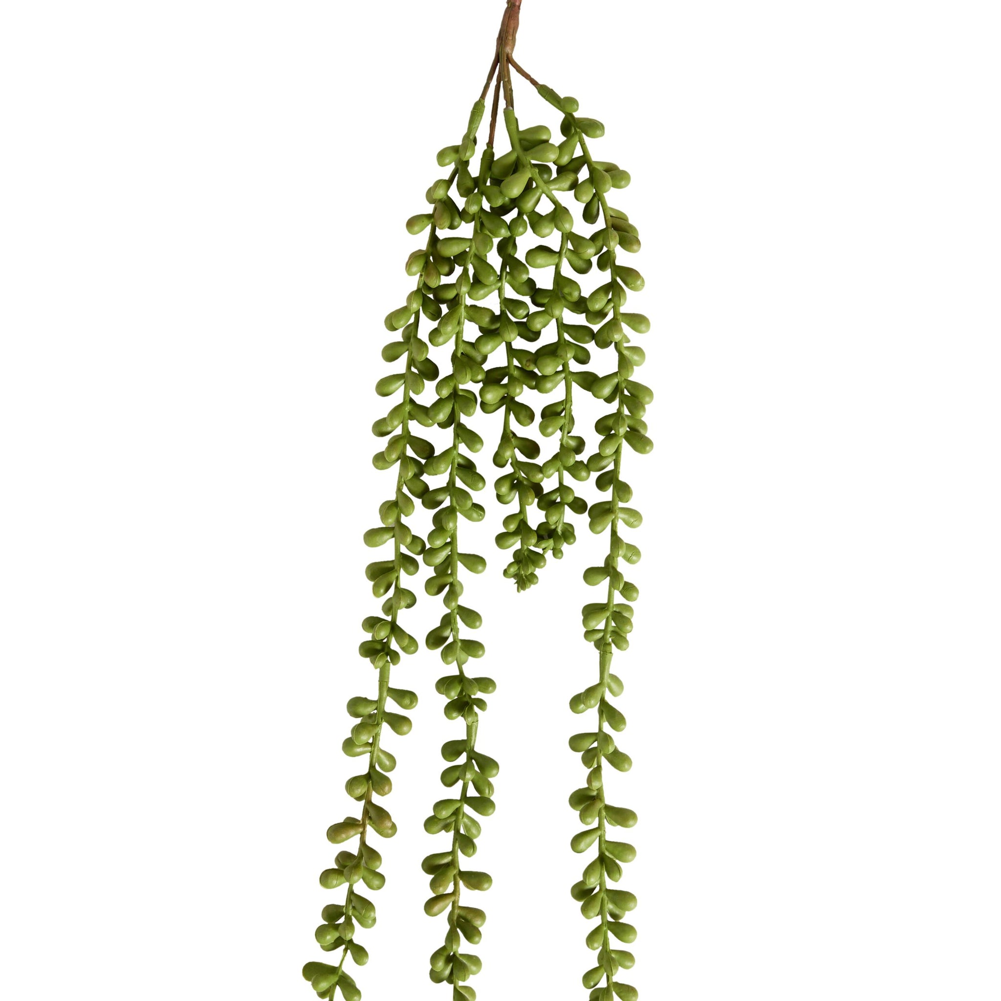 Bloomery Cascading Succulent Stem 71cm