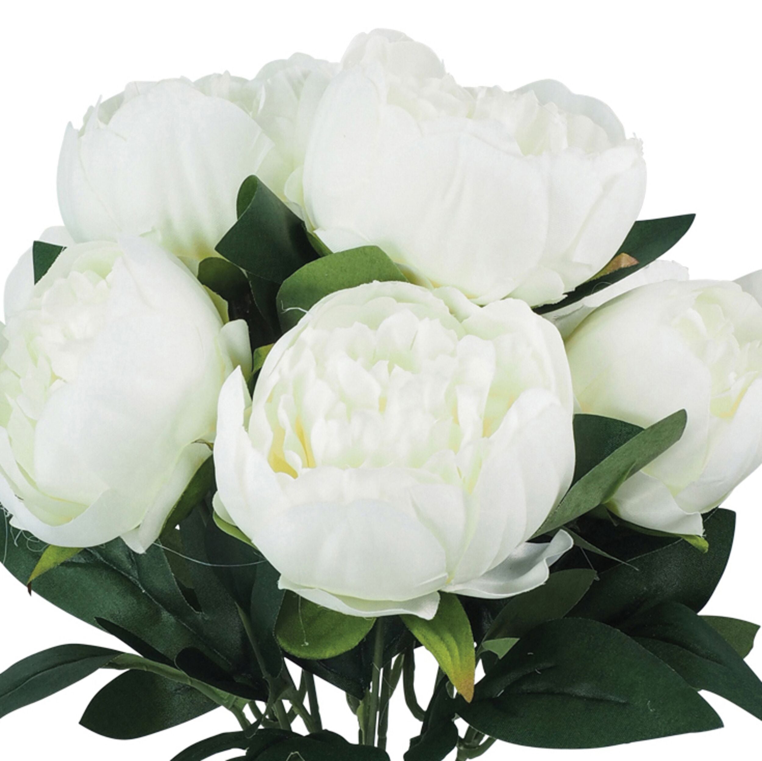 Floret Peony Bouquet x8 White