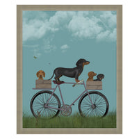 Dachshunds On Bicycle Framed Print 55x45cm
