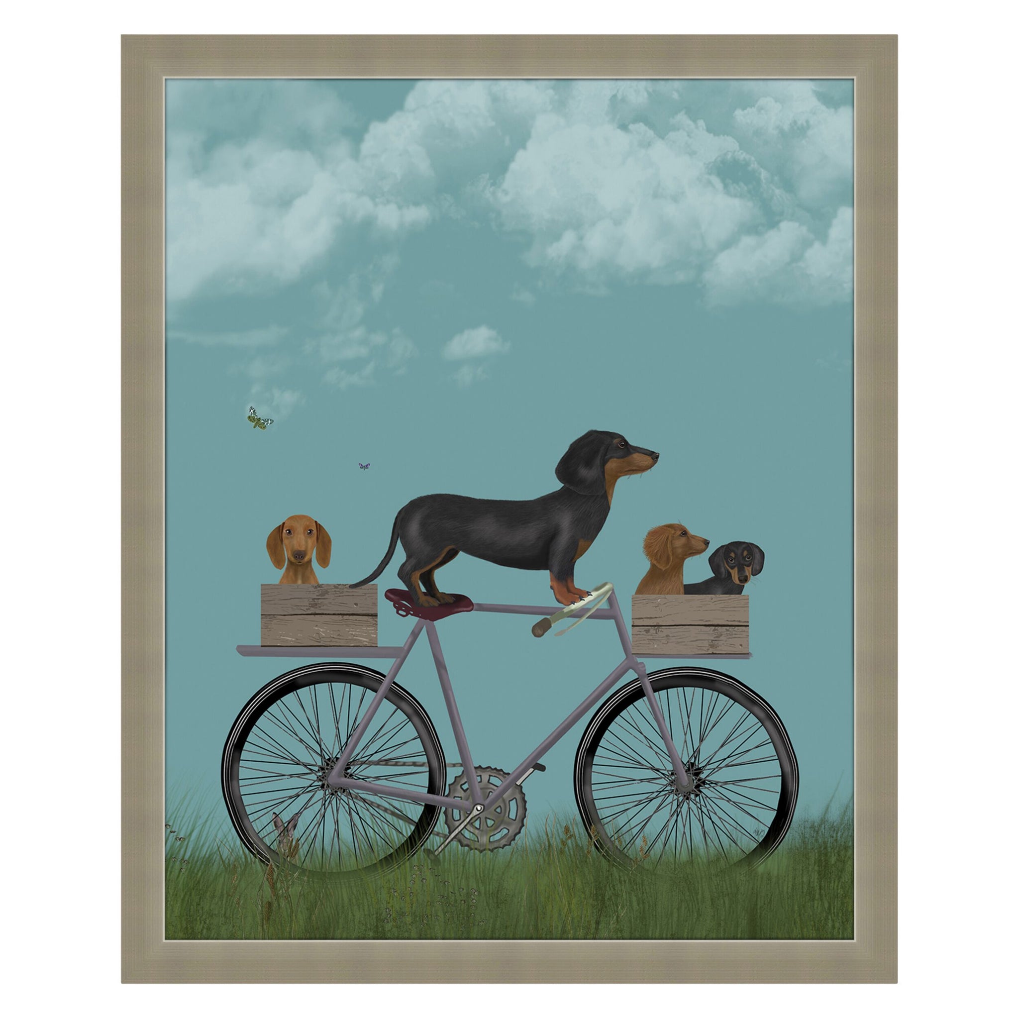 Dachshunds On Bicycle Framed Print 55x45cm