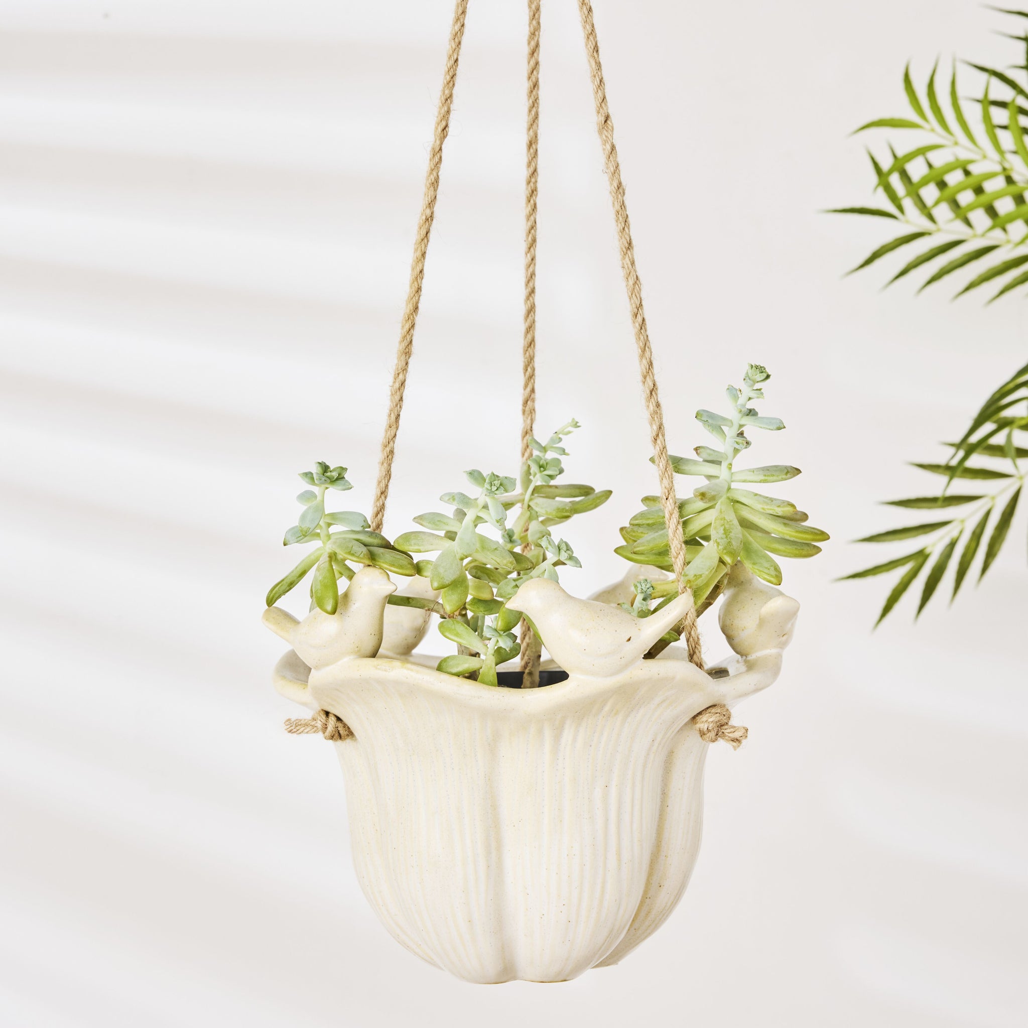 ceramic hanging planter australia Chirping Birds Ceramic Hanging Pot – Early Settler Australia