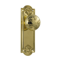 1053 Door Knob Nouveau Latch Pair Polished Brass H188xW58xP60mm