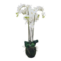 Fiore Orchid 6 Stems 88cm