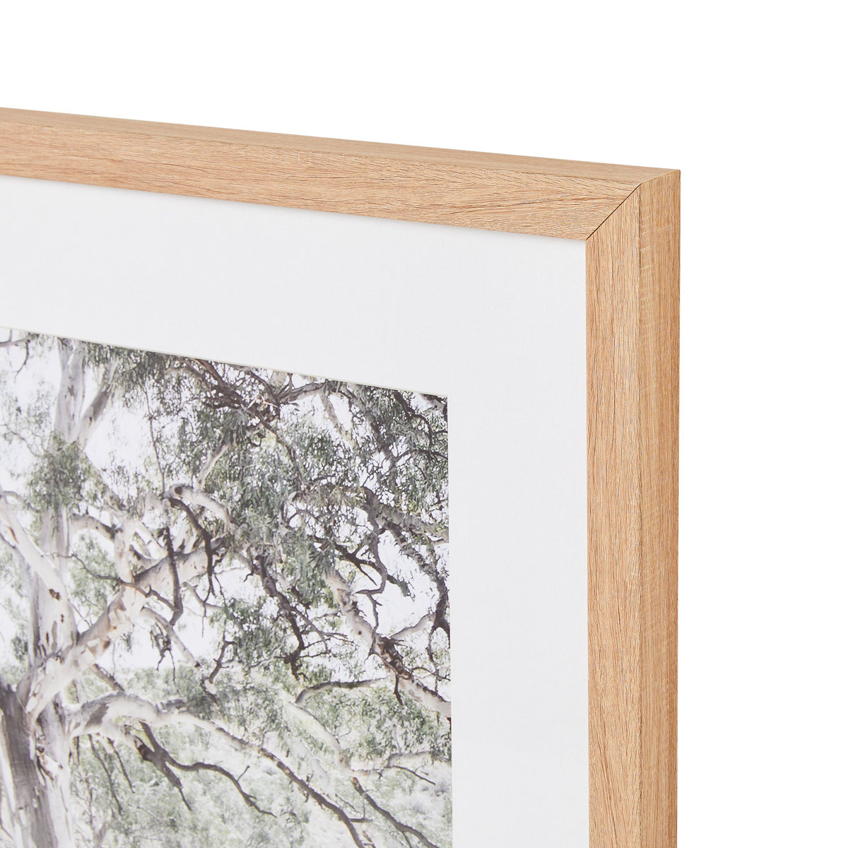 Bushlands Framed Glass Print 105x70cm