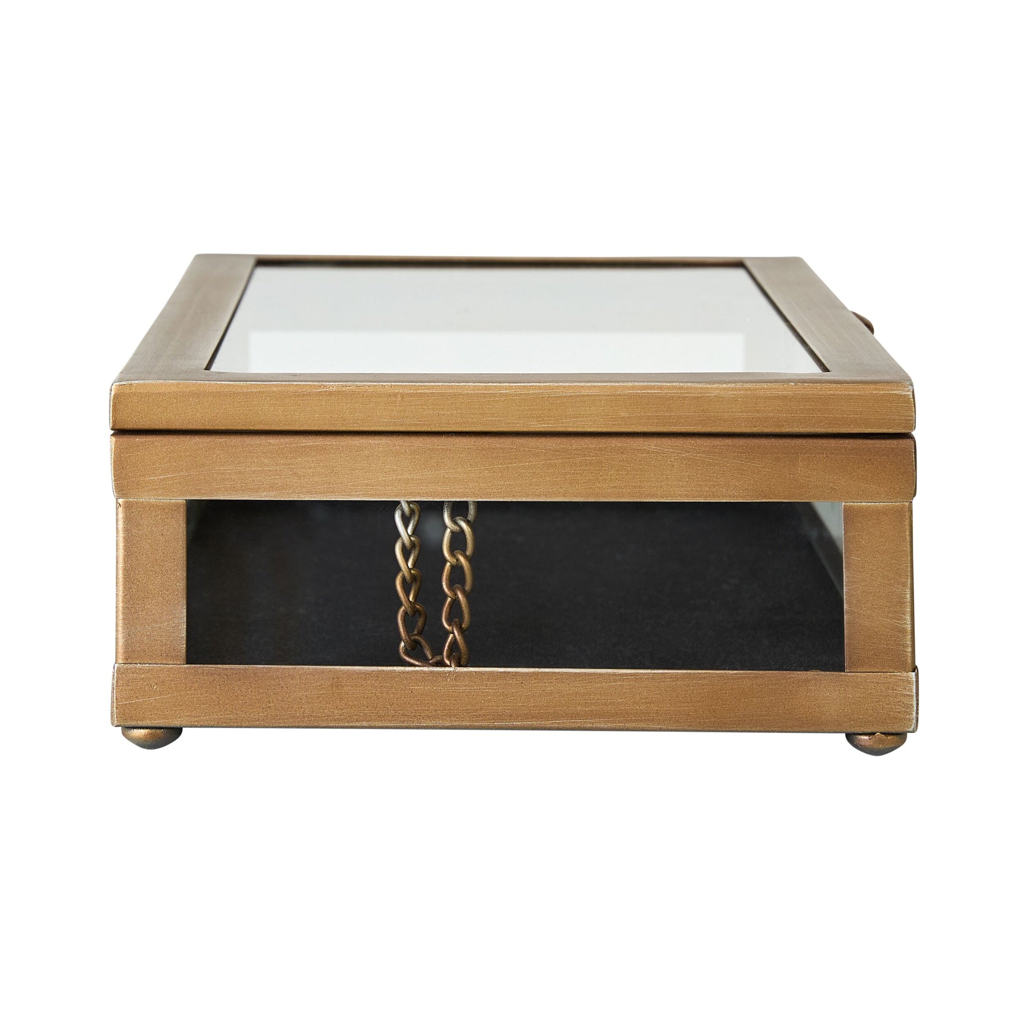 Darwin Jewellery Box