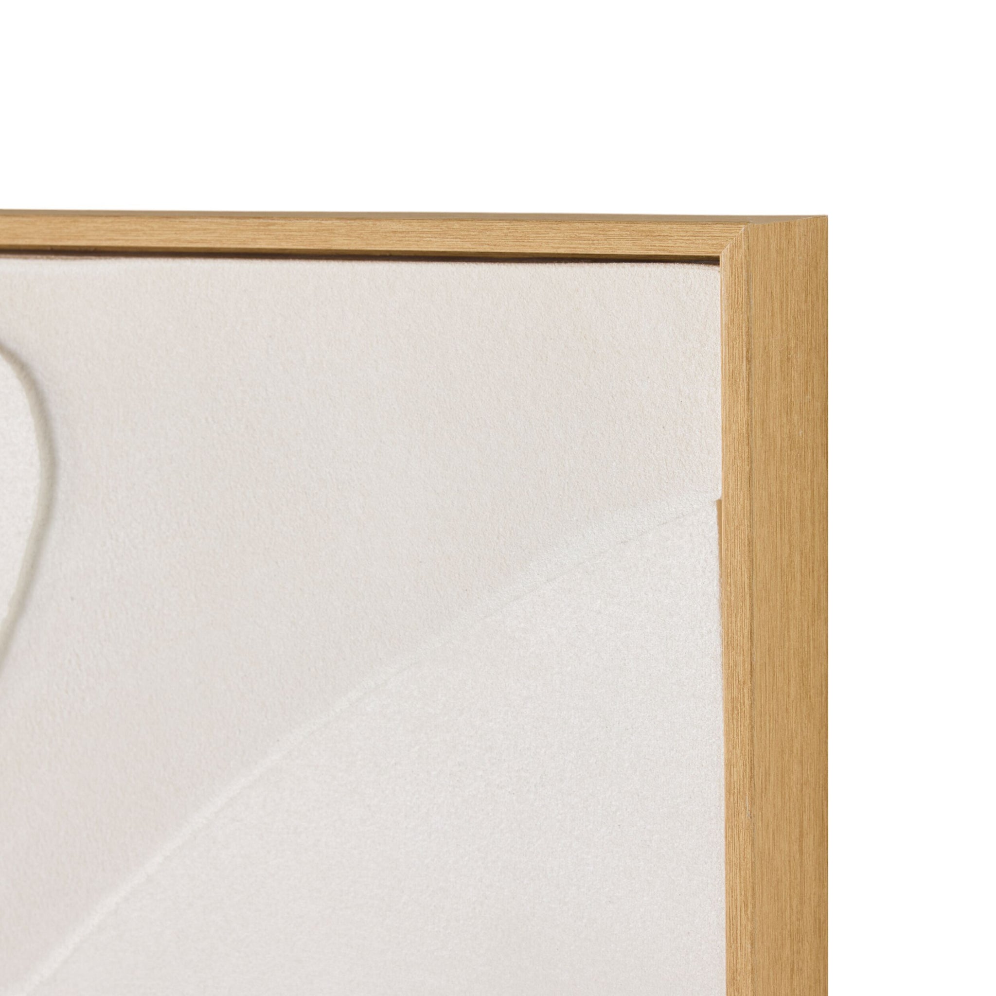 Succulent Impression Duo Framed Artwork 155x100cm