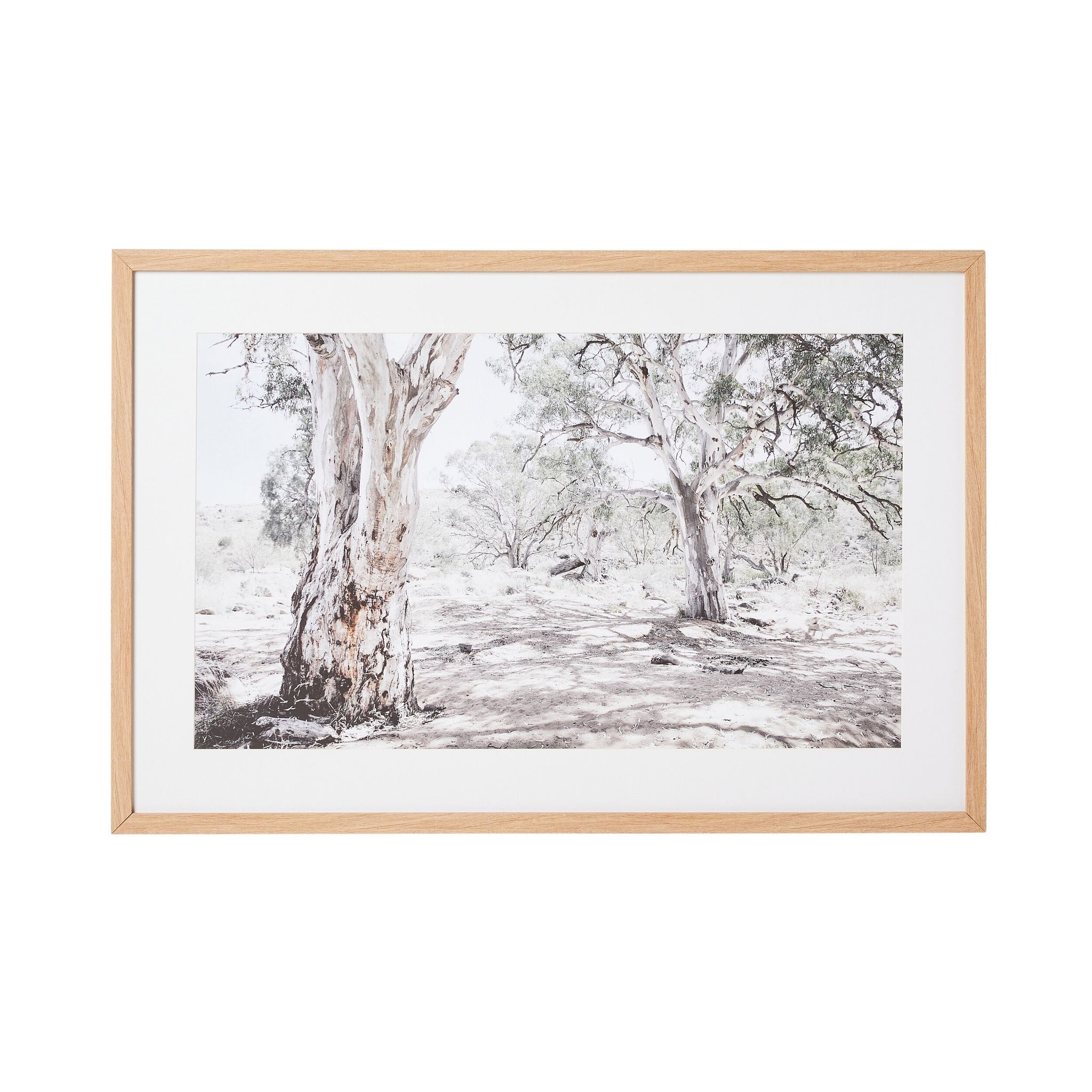 Bushlands Framed Glass Print 105x70cm
