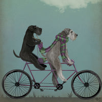 Schnauzers On Bike Print 41x41cm