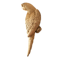 Poly Parrot Polyresin Wall Deco 35x11.5x8.5cm