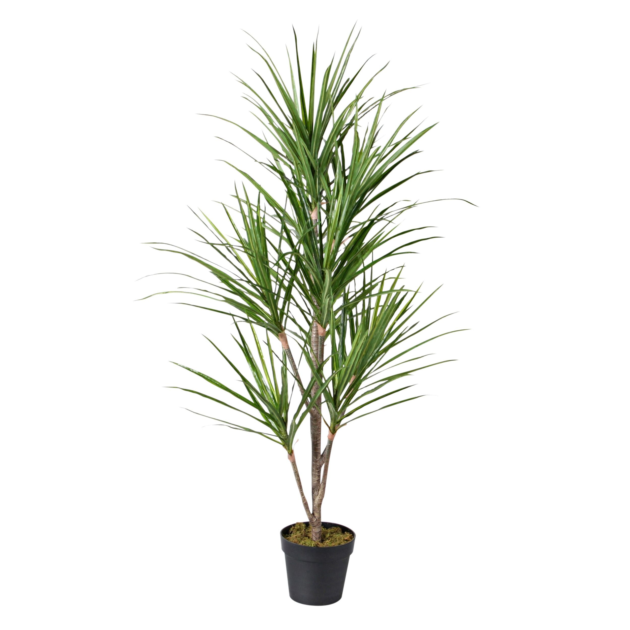 Eden Potted Faux Dragon Tree Green 140cm