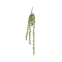 Bloomery Cascading Succulent Stem 71cm