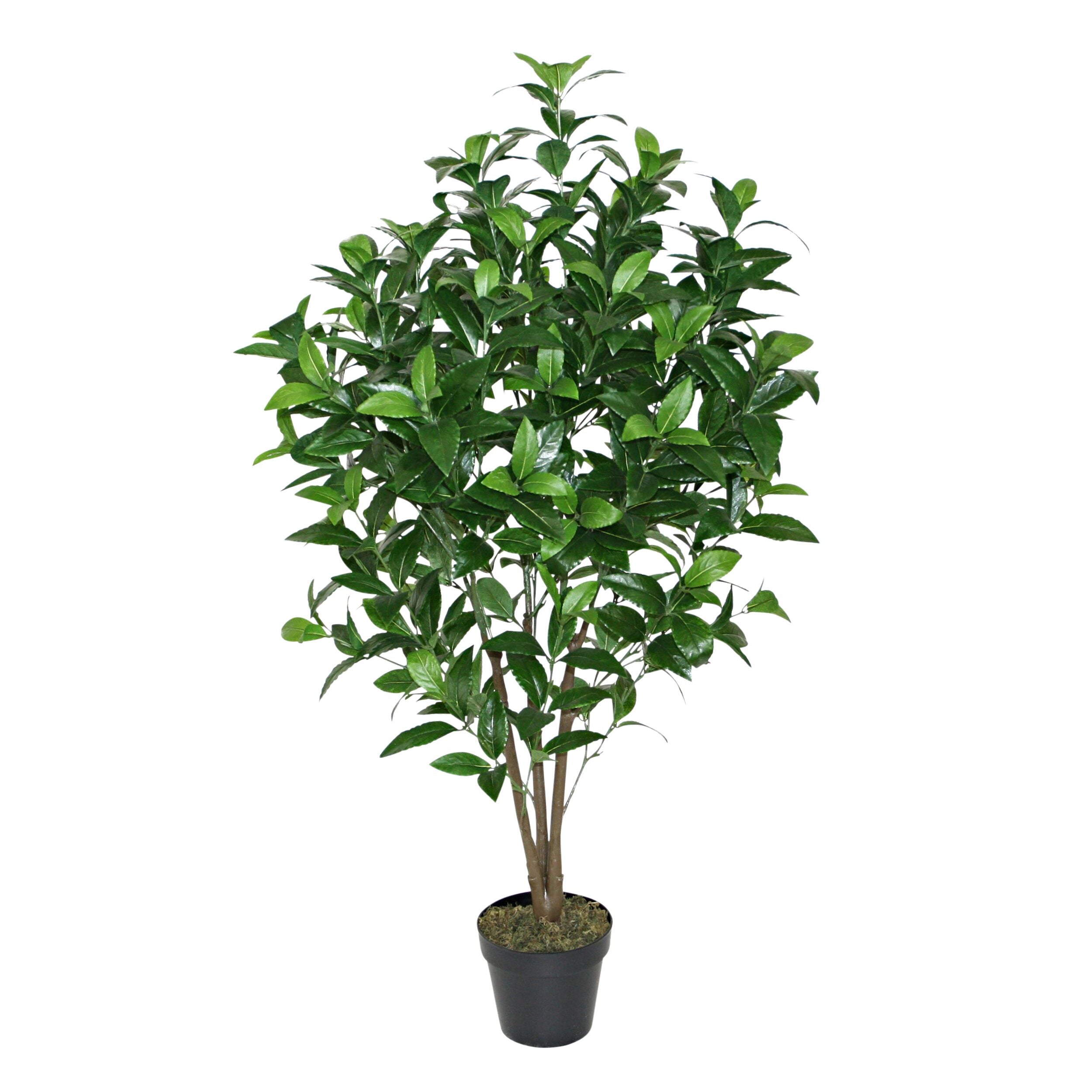 Eden Potted Faux Bay Tree 120cm