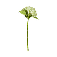 Bloomery Hydrangea Stem Soft Green 56cm