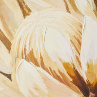 Sunburnt Protea Framed Canvas Print 100x100cm