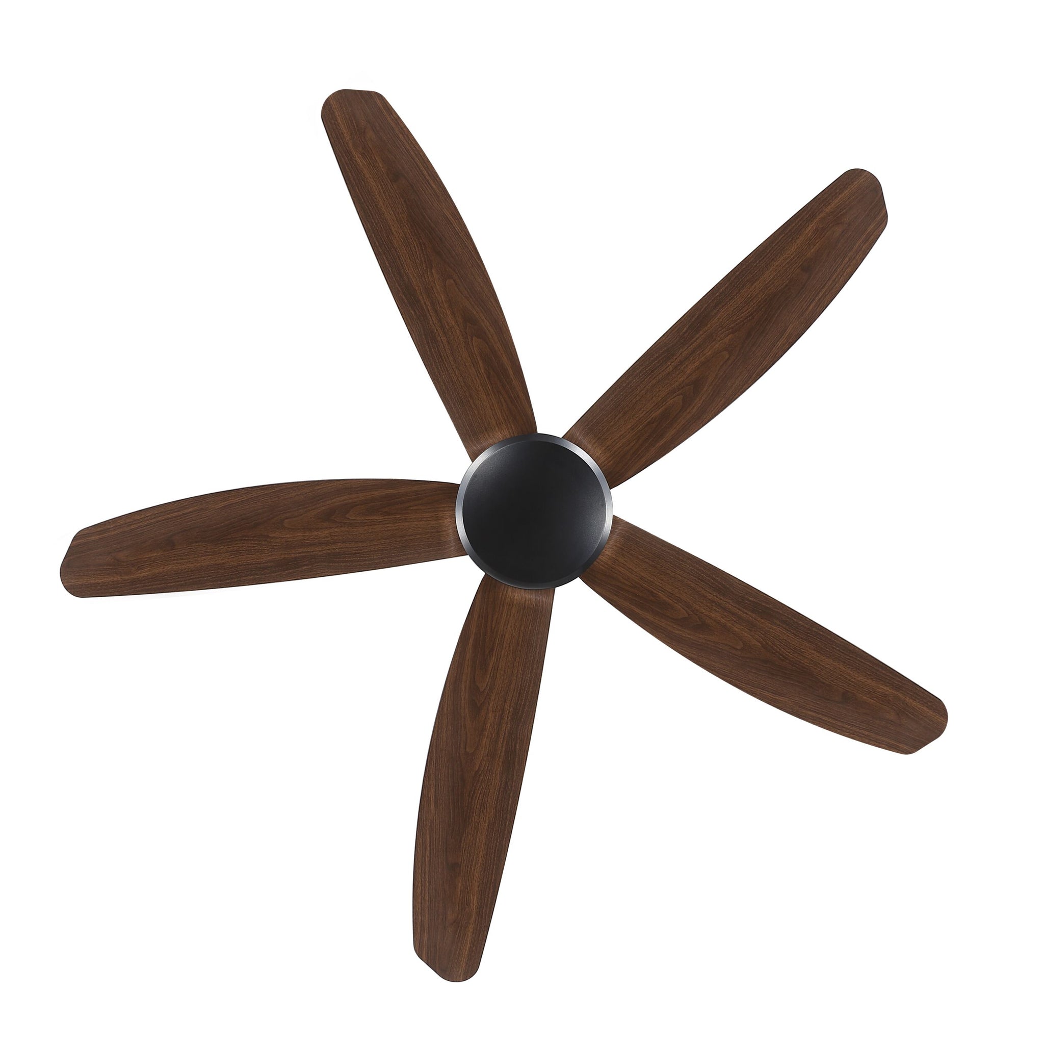 Coastline 142cm Indoor DC Fan - Black with Walnut ABS Blades