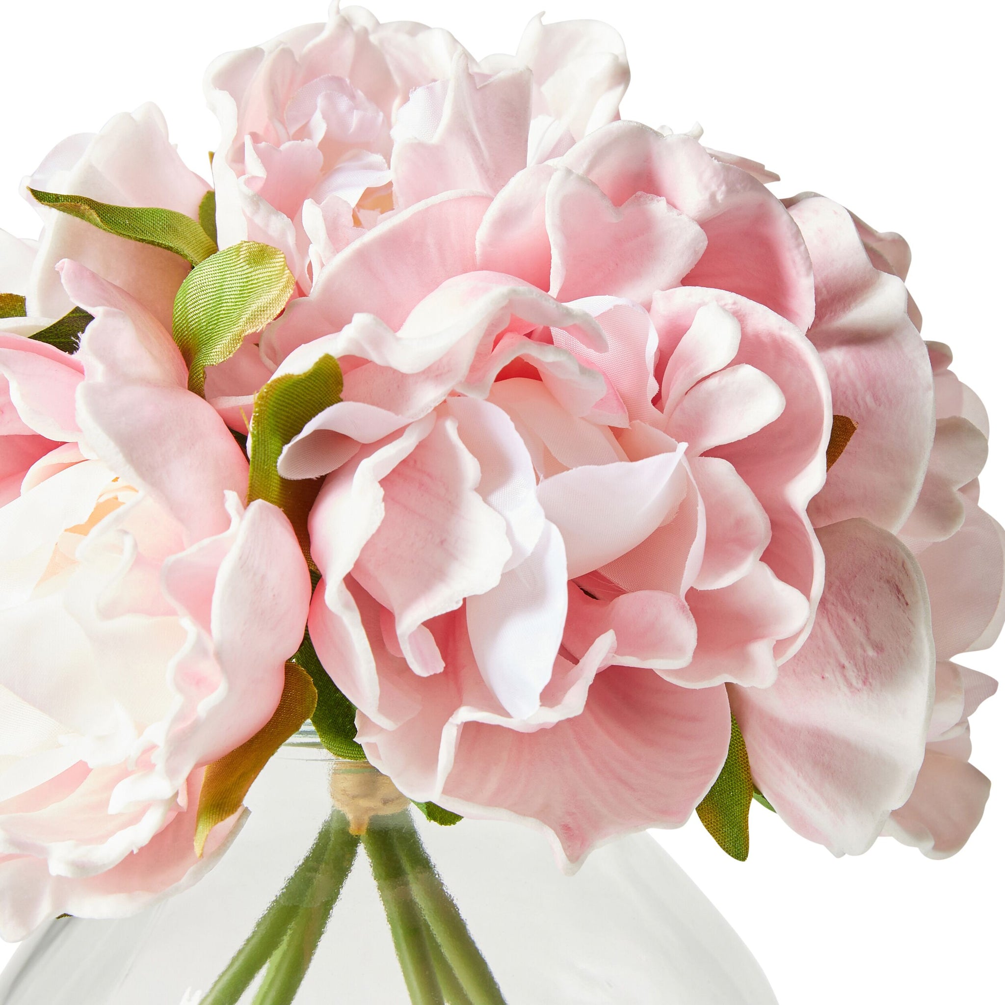Floriana Peony Pale Pink x6 Vase 21cm