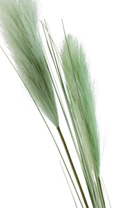 Floret Grass Stem 106cm