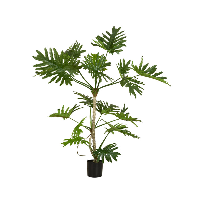 Grand Jardinière Philodendron Tree 180cm