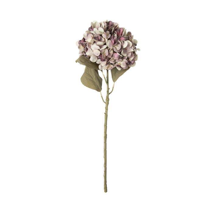 Bloomery Hydrangea Stem Mauve 56cm