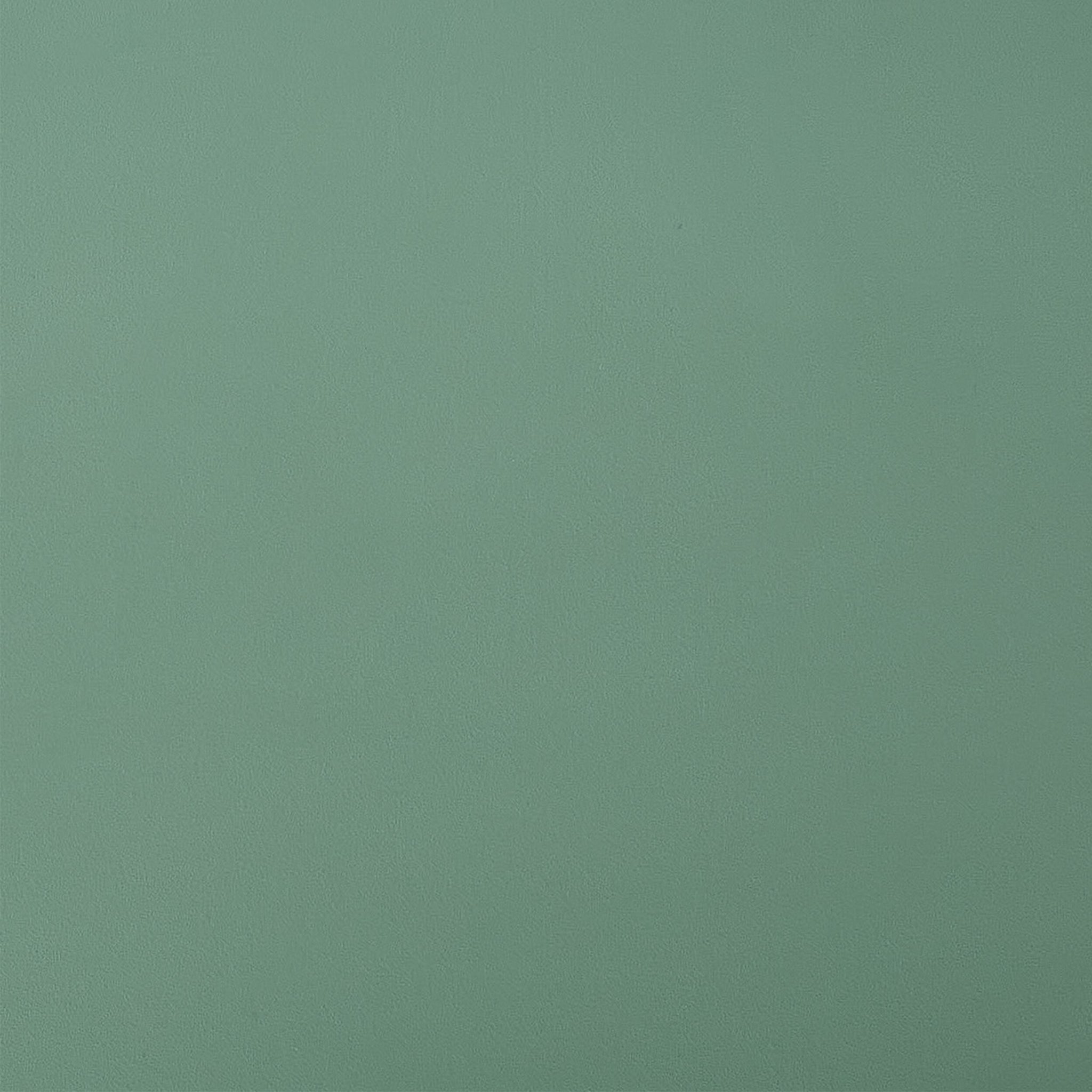 Arc Dining Chair Basil Green