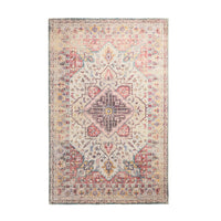 Autumn Vintage Distressed Multi Rug 240x150cm