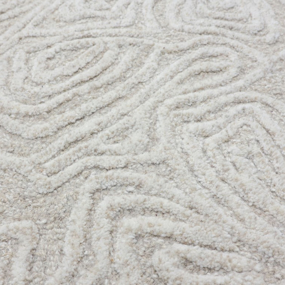 Floral Etchings Wool Rug 240x300cm