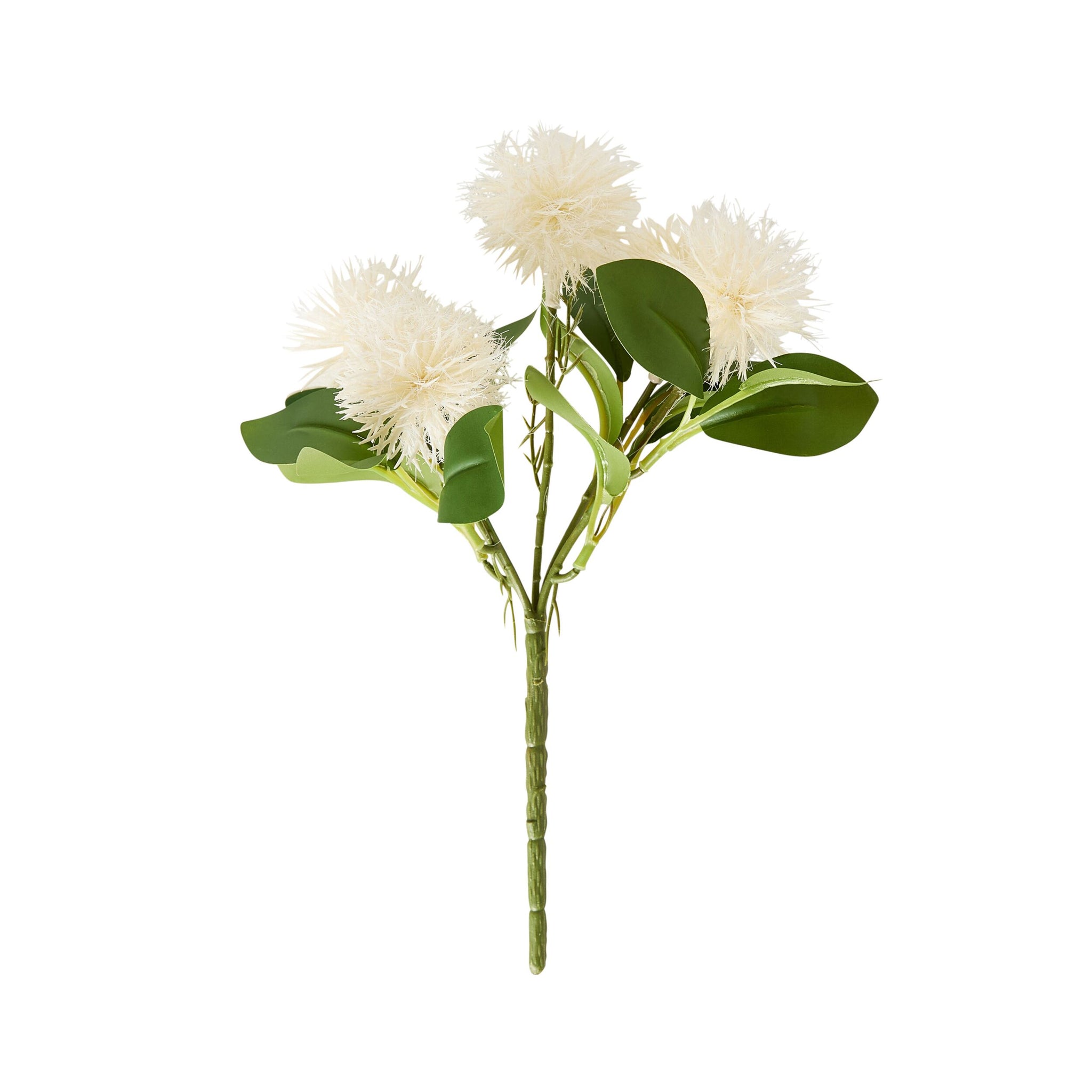 Bloomery Melaleuca Stem 25cm