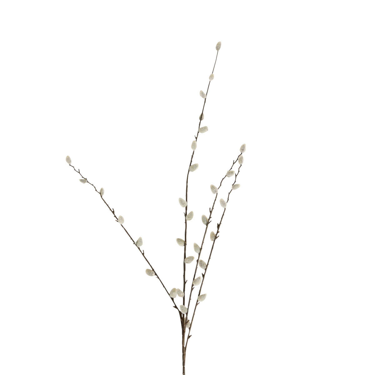 Bloomery Pussy Willow Stem 95cm