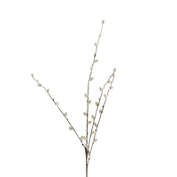 Bloomery Pussy Willow Stem 95cm