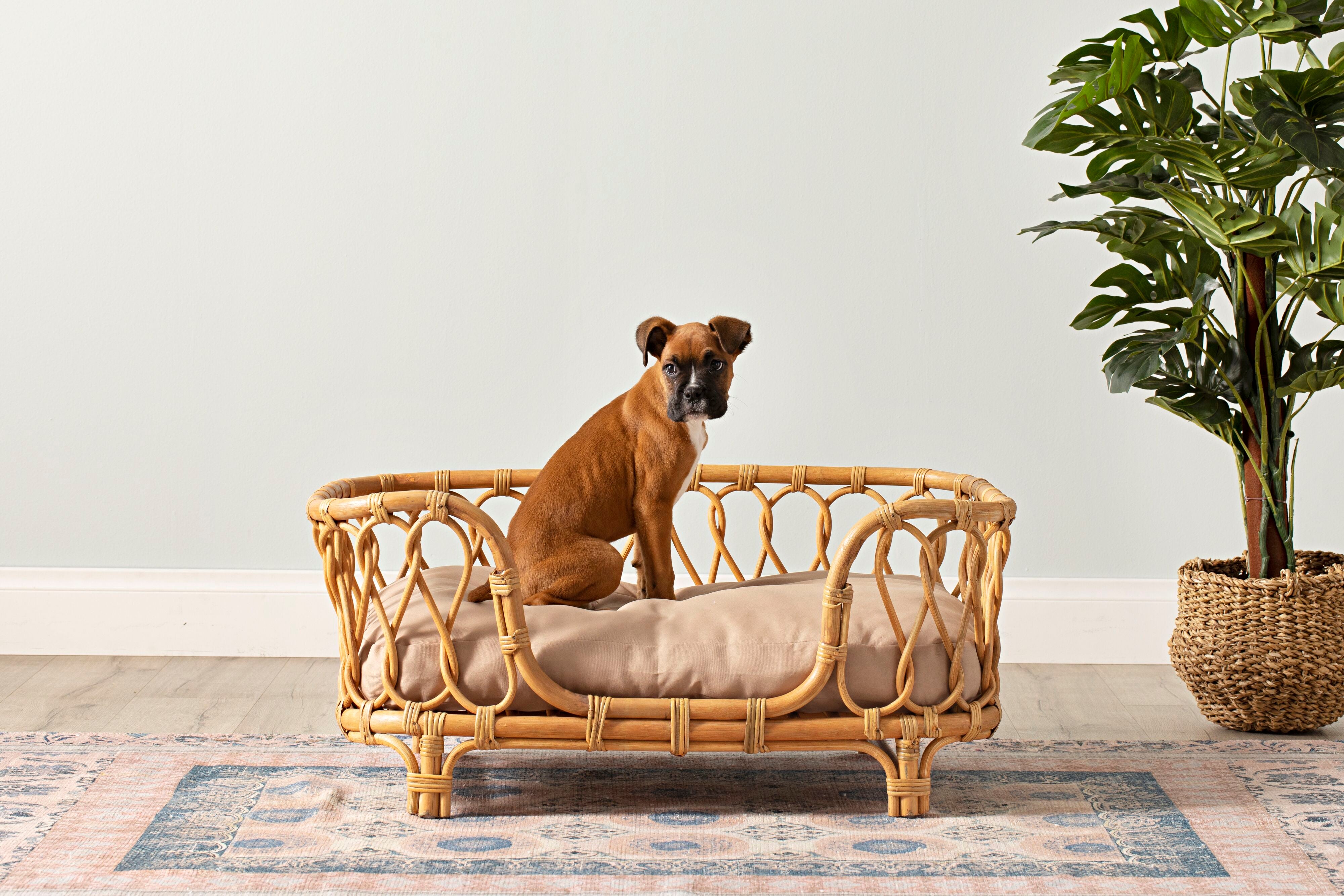 Oasis rattan dog bed sale