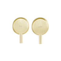 Finlay Basin/Wall Top Assembly Set Brushed Brass