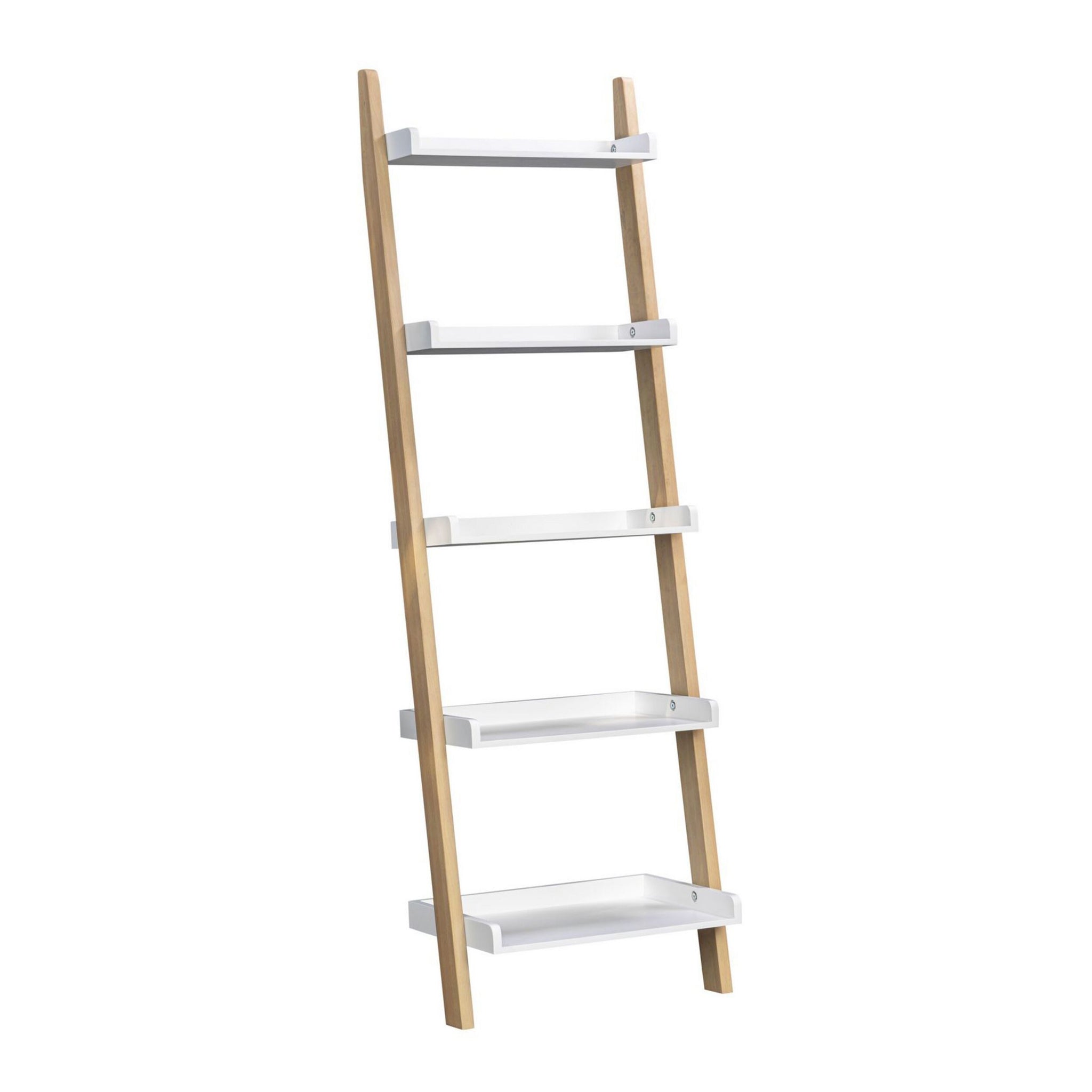 Saige Ladder Shelving Unit