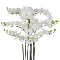 Fiore Orchid 9 Stems 110cm