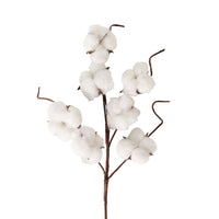 Bloomery Cotton Stem 43cm