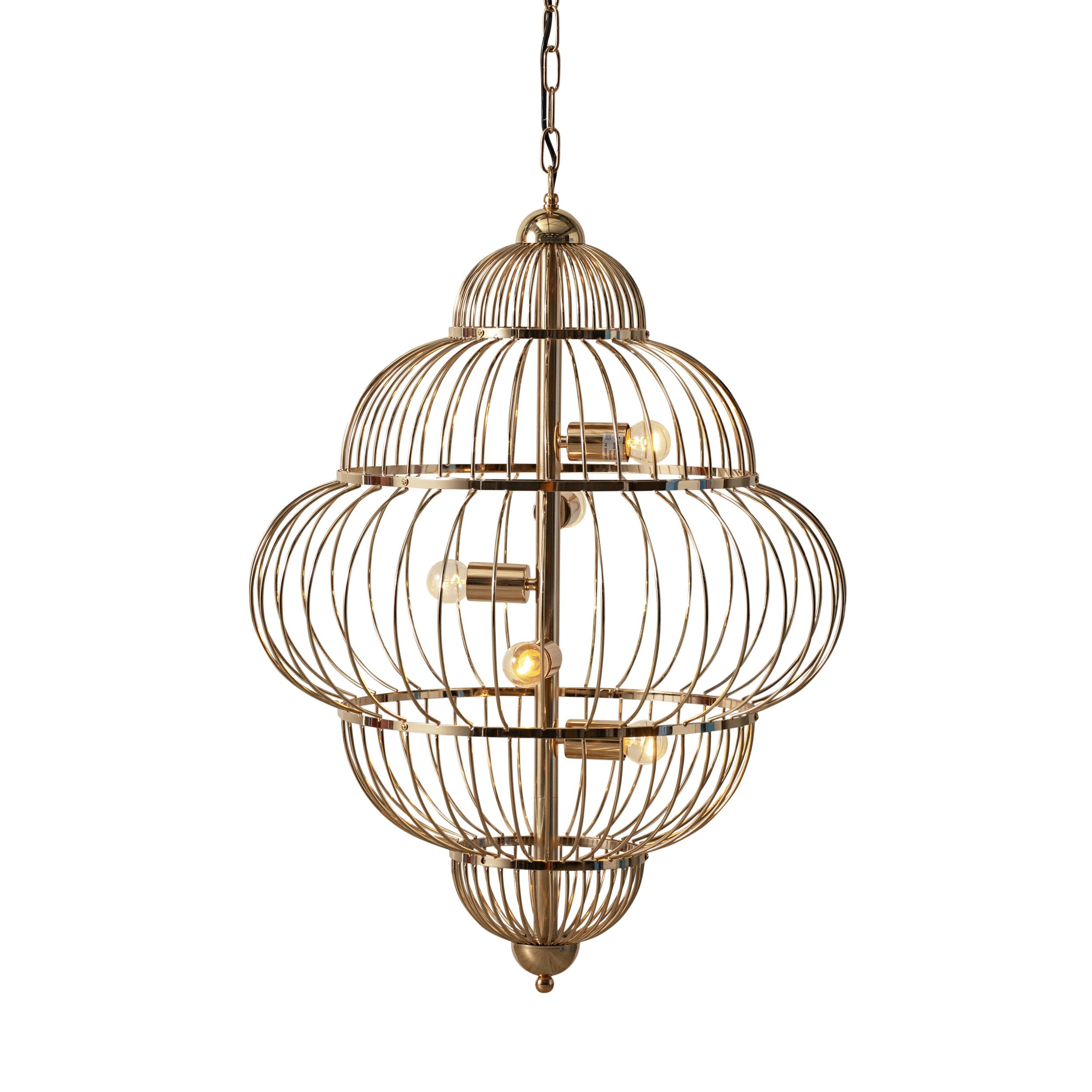 Bird cage 2024 light fixture