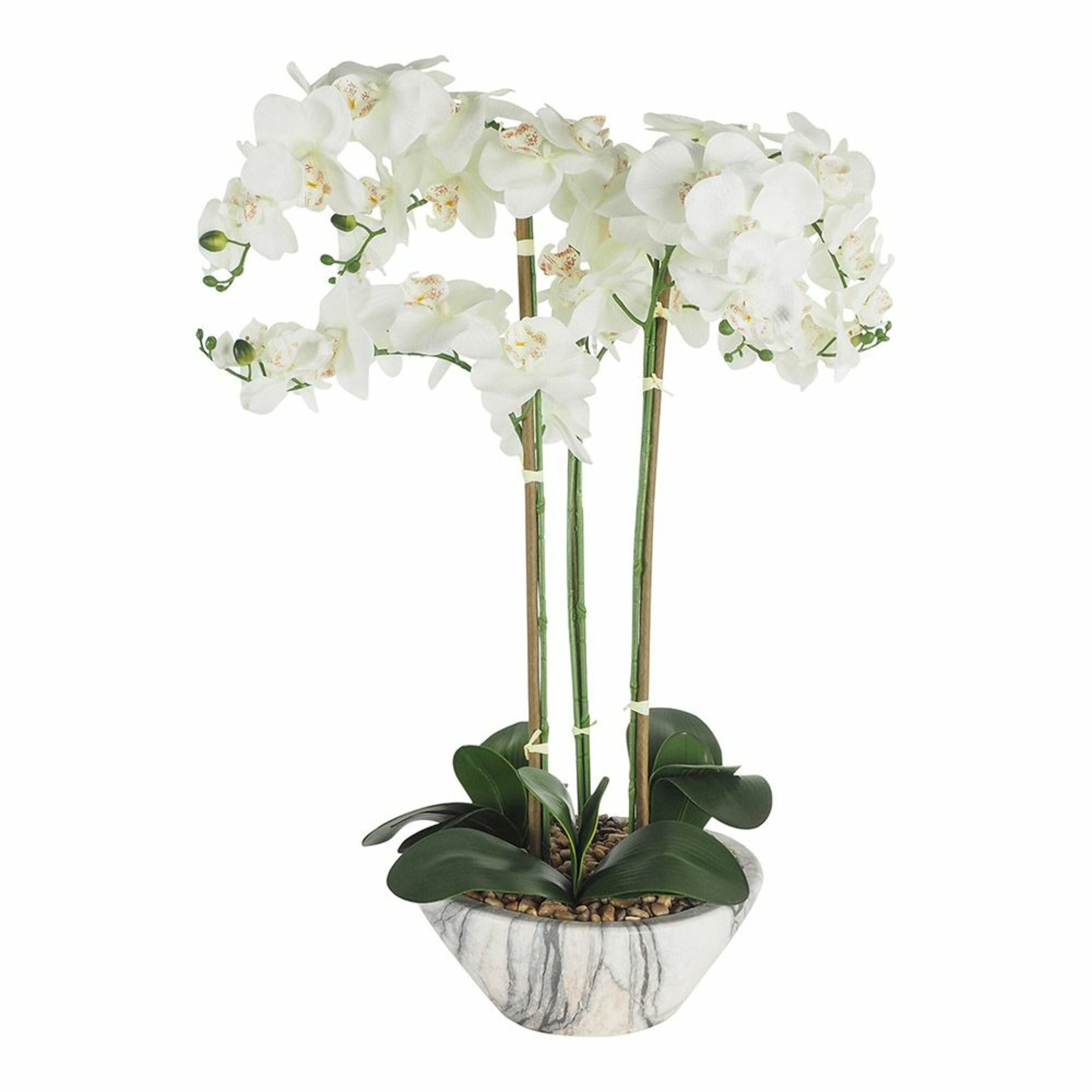 De Fleurs Orchid White Potted 68x71x79cm