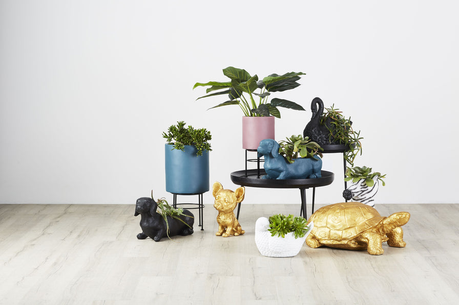 Dachshund Planter Black 37.5x26x26cm – Early Settler Australia